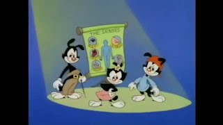 [READ THE DESCRIPTION] Animaniacs - The Senses Song Official Instrumental [Stereo]