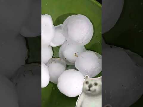 Tapebicua hace un rato (Corrientes - Argentina) 28/Sep/2026
