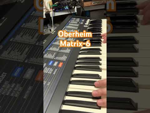 🎹 Oberheim Matrix-6 | Vintage Analog Polyphonic Synthesizer | Serviced | Factory Patches | Original Manual Included | image 11
