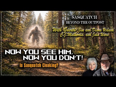 Now you see him, now you don't