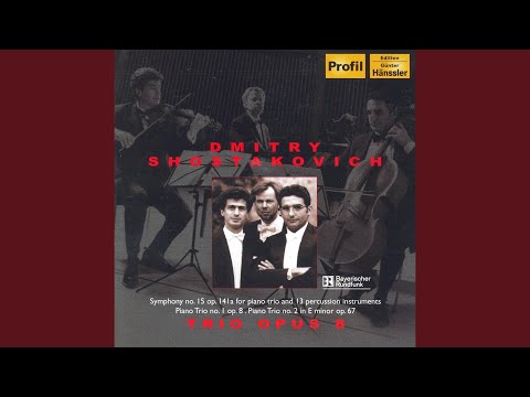 Piano Trio No. 2 in E Minor, Op. 67: I. Andante