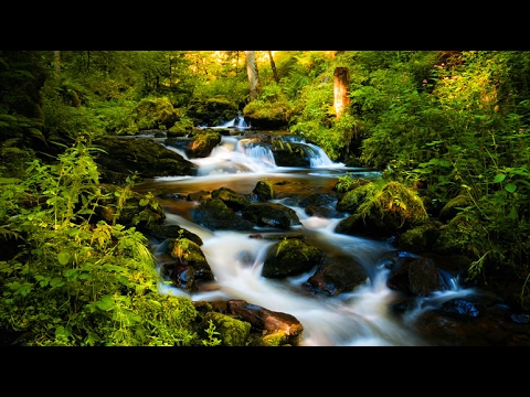 Parshas Beshalach: The Merit of Trusting Hashem