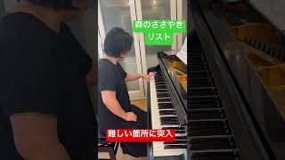 Download lagu リスト/森のささやき/苦戦中の練習動画 #ピアノ #piano #弾いてみた mp3 Download lagu リスト/森のささやき/苦戦中の練習動画 #ピアノ #piano #弾いてみた mp3