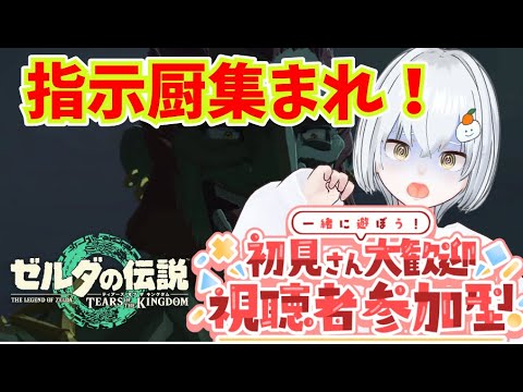 指示厨の力でクリアせよ!視聴者参加型!指示して勝利をつかみ取れ!【ゼルダの伝説ティアーズオブザキングダム】