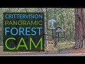 CritterVision Forest Cam