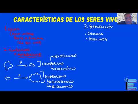 Aula de Biologia — Características dos seres vivos