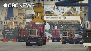 Fast-tracked Port of Vancouver expansion worries environmental groups