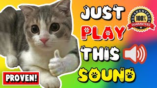 Mother cat calling for her kittens sound effect ⭐ mom cat sounds to attract cats