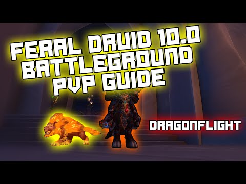 Feral Druid Dragonflight Battleground PVP Guide [Gear, Stats, Rotation, Talents & more] Patch 10.0