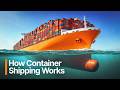 Fact Check: Hass Avocado and Global Shipping Container Impact Explained