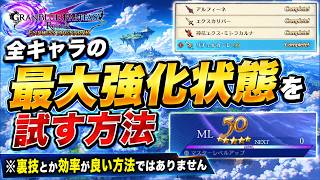全キャラの最大強化状態を試す方法【グラブルリリンクエンドレスラグナロク】