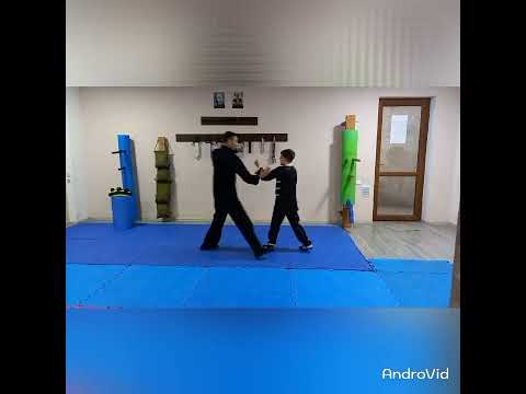 Armenian(Artsakh) wing chun(wing tsun) 2 level, Hayk Aghajanyan