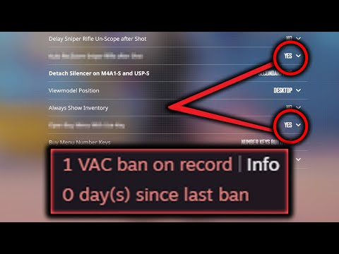 These 2 Settings Will VAC BAN You…