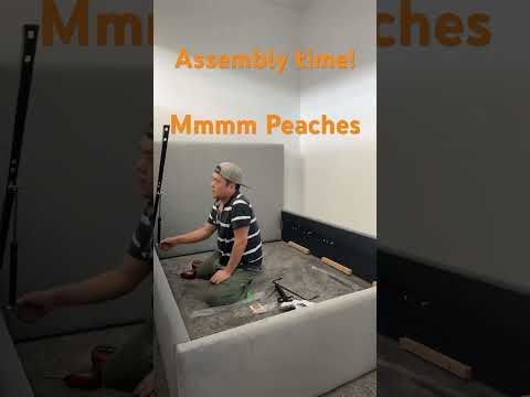 Gas lift bed assembly