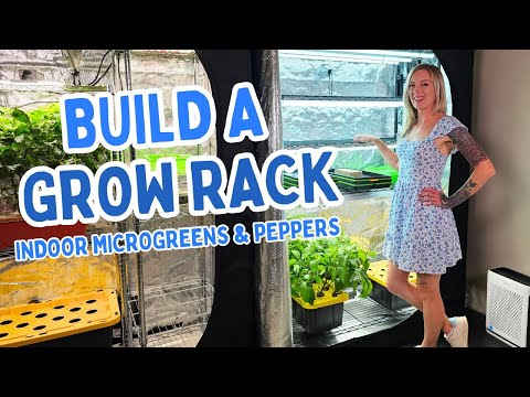 Video: Full Build Walkthrough