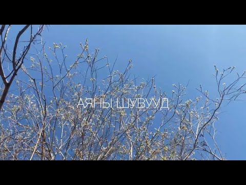 АЯНЫ ШУВУУД
