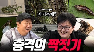 "🐑아치네!!!!!" 로맨틱과 싸가지가 공존하는😱 웰컴 투 곤충의 왕국💑