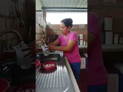 cuidando de mi granja con mucho amor y cariño 🐔🐷
