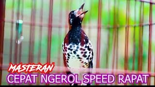 Download lagu MASTERAN ANIS KEMBANG NGEROL SPEED RAPAT, DENGARKAN SESAAT AK LAIN PASTI IKUT BUNYI GACOR mp3