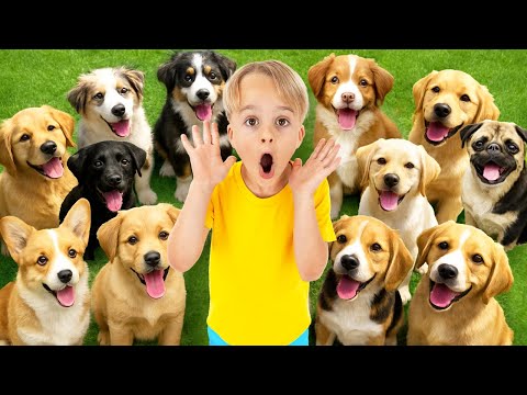 Kinder kümmern sich im Tierheim um Tiere