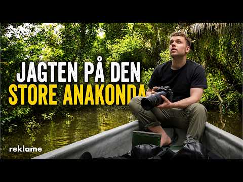 Jagten på den store anakonda