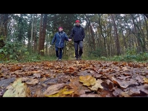 Northern Holland - In the Forests of Norg and Langelo [Nov. 19, 2016]