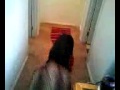 Zoe With Onyx Bed Stuck On Her Head 2008 031908 16181