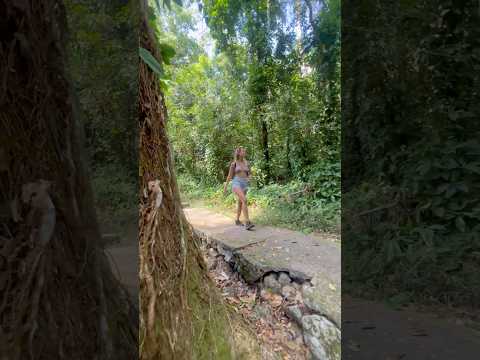 Paseando por Soroa 💚🌸 un paraíso natural 🌿 Artemisa🌴Cuba 😍 #cubatravel #cuba