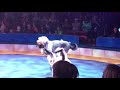 Dogs At The Big Apple Circus