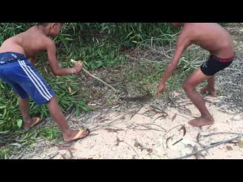Wow! Brave Children Catch Big Snake With Bare Hand  in tribal areas