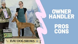 Is it worth being an Owner Handler in Conformation