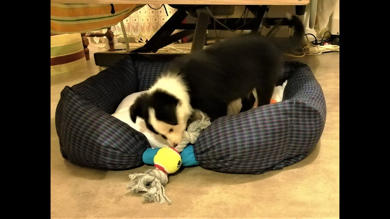 N° 21 - Brico/Déco & Couture !! la Panière de Roy