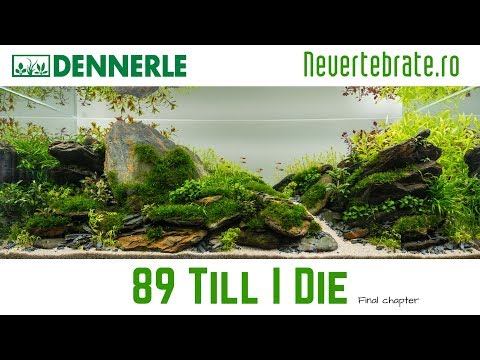 Watch Video on YouTube