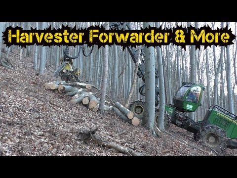 John Deere 1270E | Hardwood | Beech