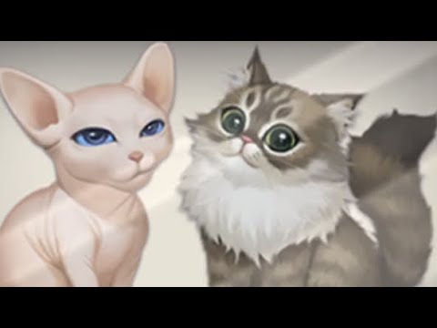 KittenMatch 1801 level Gameplay Story