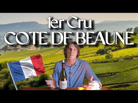 Premier Cru Monthelie Sur La Velle: PINOT NOIR ai suoi massimi 🔥🍷👀