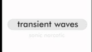 Transient Waves - What I'm shootin' for