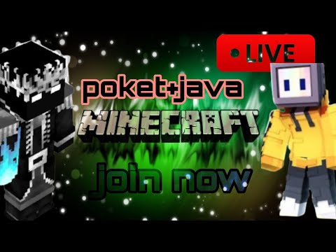 EPIC Shadow Live in Minecraft SMP! Join Now!