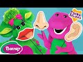 The Five Senses Song Learning Body Parts For Kids Barney Nursery Rhymes And Kids Songs