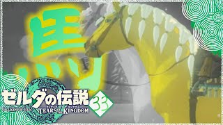 【ゼルダの伝説TotK】金色の馬、巨躯の白馬、ウマナリ楽団。＃33【ティアーズオブザキングダム攻略】