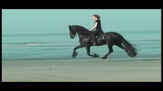 Infiniti noi - Pooh Video