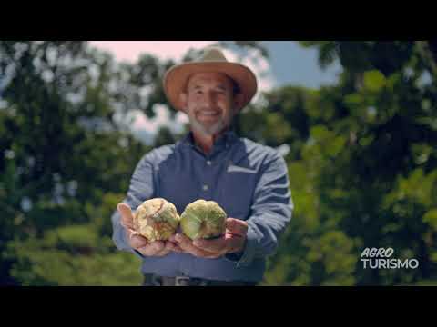 Hacienda Jeanmarie Chocolat