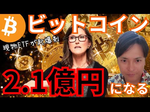 ビットコイン価格のアナリスト:「今後数週間で反転が予想される」。