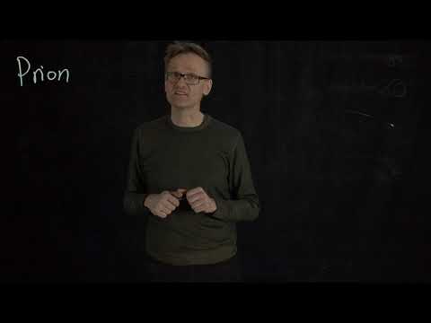 Lecture 05, concept 24: The slow beta sheet formation can explain misfolding - prions