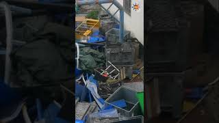 Typhoon Wipa's Fury: Witness the Power of Nature's Destruction