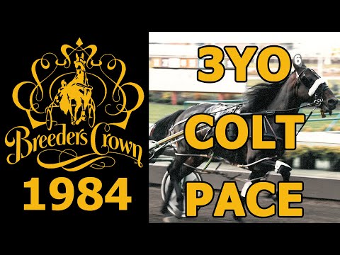 1984 Breeders Crown - Troublemaker- 3YO Colt Pace