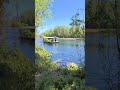 Highlights From Silver Springs State Park In Ocala Florida Florida Floridalife Familytravel