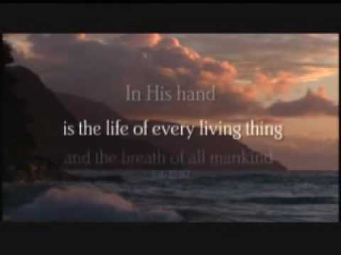 Filmvorschau: Gott der Wunder