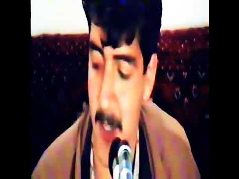 امیراحسان فدایی