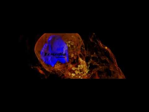 Vszupeuen - KoMedia (prod. Guf & Ohcu)